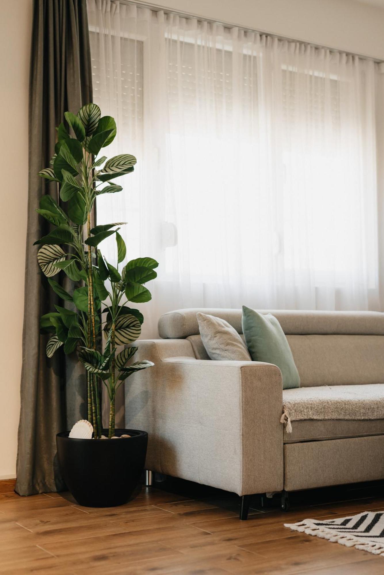 Apartament Serenity Downtown *